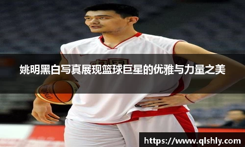 姚明黑白写真展现篮球巨星的优雅与力量之美